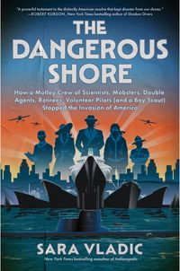Produktbild: The Dangerous Shore