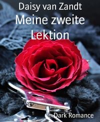 Produktbild: Meine zweite Lektion