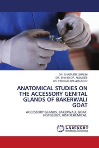 Produktbild: Anatomical Studies On The Accessory Genital Glands Of Bakerwali Goat