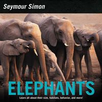 Produktbild: Elephants