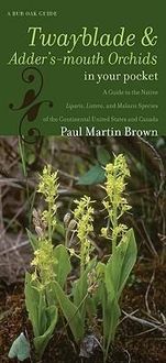 Bild vom Artikel Twayblades and Adder's-Mouth Orchids in Your Pocket: A Guide to the Native Liparis, Listera, and Malaxis Species of the Continental United States and vom Autor Paul Martin Brown