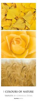 Bild vom Artikel Colours of Nature - Triplets 2024 - Streifenkalender XXL 25x69 cm - Bildkalender im Hochformat - Naturkalender - Wandkalender - Wandplaner vom Autor 