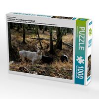 Produktbild: CALVENDO Puzzle Ein Motiv aus dem Kalender Unterwegs im Landsberger Wildpark | 1000 Teile Lege-Gr&ouml;&szlig;e 64x48cm Foto-Puzzle f&uuml;r gl&uuml;ckliche Stunden