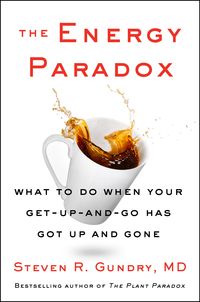 Produktbild: The Energy Paradox