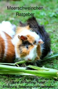 Produktbild: Meerschweinchen Ratgeber.