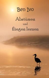 Produktbild: Abst&uuml;rzen und fliegen lernen