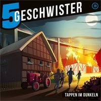 Produktbild: 28: Tappen im Dunkeln