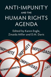 Produktbild: Anti-Impunity and the Human Rights Agenda