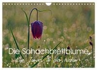 Produktbild: Die Schachbrettblume (Wandkalender 2027 DIN A4 quer), CALVENDO Monatskalender