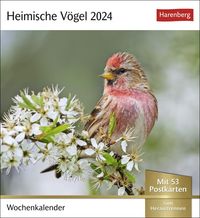 Bild vom Artikel Heimische Vögel Postkartenkalender 2024. Wochenkalender im Postkarten-Format mit Vogelporträts. Tischkalender mit wöchentlich neuen Postkarten zum vom Autor 