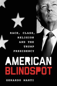 Produktbild: American Blindspot