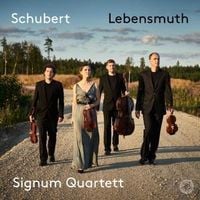 Bild vom Artikel Schubert Lebensmuth vom Autor Signum Quartett