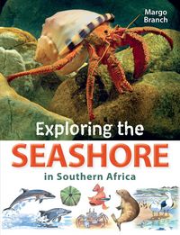 Produktbild: Exploring the Seashore in Southern Africa