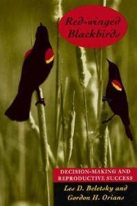 Produktbild: Red-winged Blackbirds