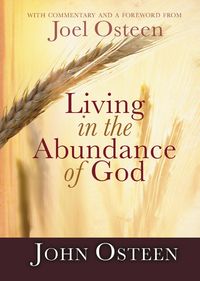 Produktbild: Living in the Abundance of God