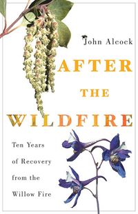 Produktbild: After the Wildfire