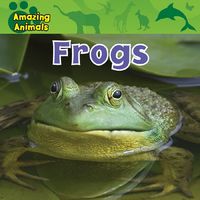 Produktbild: Amazing Animals Frogs