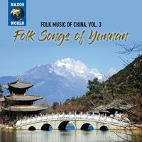 Bild vom Artikel Folk Music of China,Vol. 3 vom Autor Various