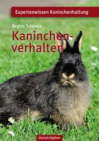 Bild vom Artikel Kaninchenverhalten vom Autor Regine Schineis