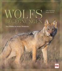 Produktbild: Wolfsbegegnungen