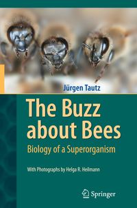 Bild vom Artikel The Buzz about Bees vom Autor Jürgen Tautz