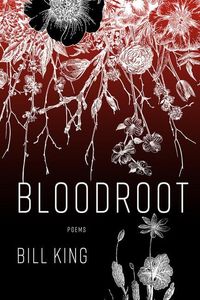 Produktbild: Bloodroot