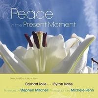 Bild vom Artikel Peace in the Present Moment vom Autor Eckhart Tolle
