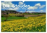 Produktbild: Die Stauden - Heimat in den westlichen W&auml;lder Augsburg (Wandkalender 2026 DIN A3 quer), CALVENDO Monatskalender
