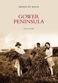 Produktbild: Gower Peninsula