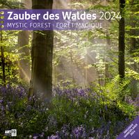 Bild vom Artikel Zauber des Waldes Kalender 2024 - 30x30 vom Autor Ackermann Kunstverlag