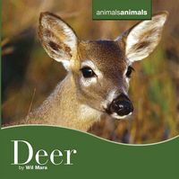 Produktbild: Deer Deer