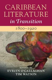 Produktbild: Caribbean Literature in Transition, 1800-1920: Volume 1
