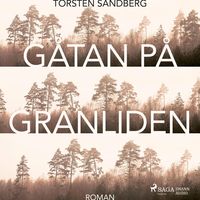 Produktbild: G&aring;tan p&aring; Granliden