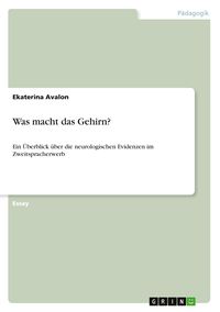 Produktbild: Was macht das Gehirn?