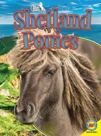 Produktbild: Shetland Ponies