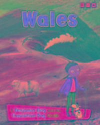 Bild vom Artikel Wales vom Autor Anita Ganeri