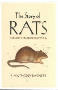 Produktbild: Story Of Rats