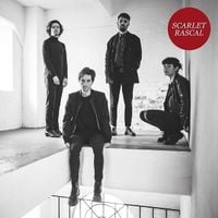 Produktbild: Scarlet Rascal
