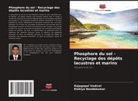 Produktbild: Phosphore du sol - Recyclage des d&eacute;p&ocirc;ts lacustres et marins