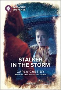 Produktbild: Stalker in the Storm