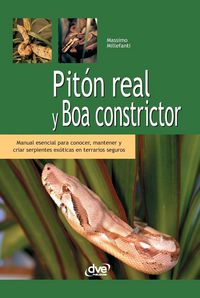Produktbild: Pit&oacute;n real y boa constrictor