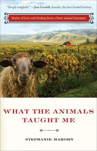 Produktbild: What the Animals Taught Me