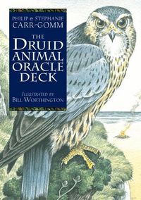 Produktbild: The Druid Animal Oracle Deck