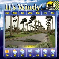 Produktbild: Its Windy -Lib