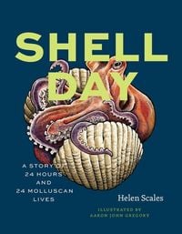 Produktbild: Shell Day