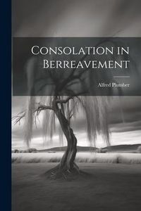 Produktbild: Consolation in Berreavement