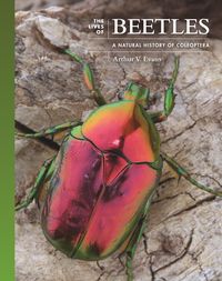 Produktbild: The Lives of Beetles