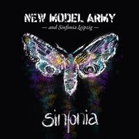Bild vom Artikel Sinfonia(Ltd.3LP/180g/Gtf+DVD) vom Autor New Model Army