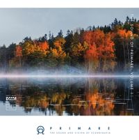 Produktbild: Primare - The Sound of Primare,Vol. 1 (45 RPM)