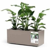 Produktbild: Euro3plast Greener KEBE 3154.G9Pflanzkasten Kunststoff Taupe